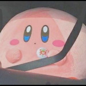 Meet your Posher, Alice